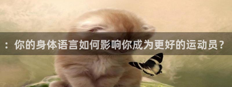 ：你的身体语言如何影响你成为更好的运动员？