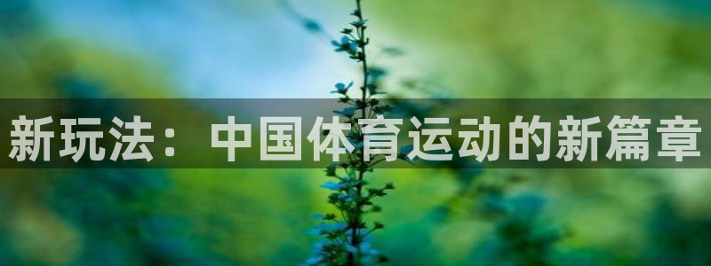 新玩法：中国体育运动的新篇章